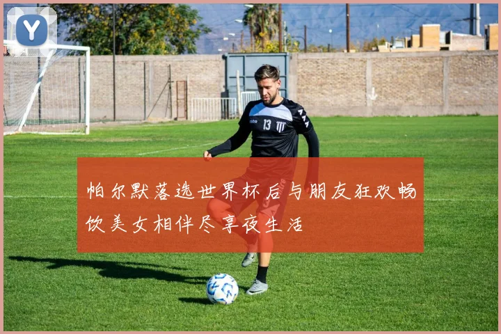 帕尔默落选世界杯后与朋友狂欢畅饮美女相伴尽享夜生活